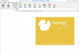 Navicat Premium v11.0.1 64位 中文绿色破解版 支持win10